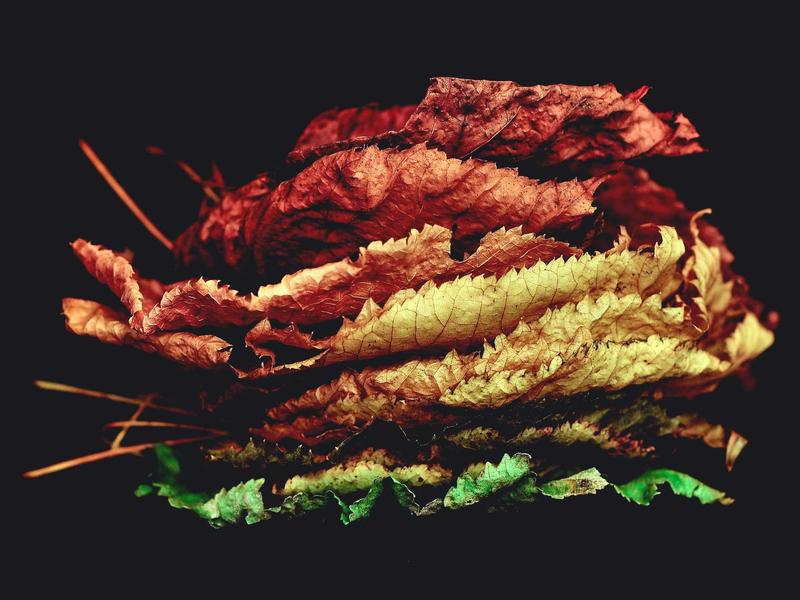 苏州园林<br>kclfxfu.cn 移步换景借景